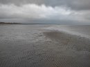 Littoral végétal